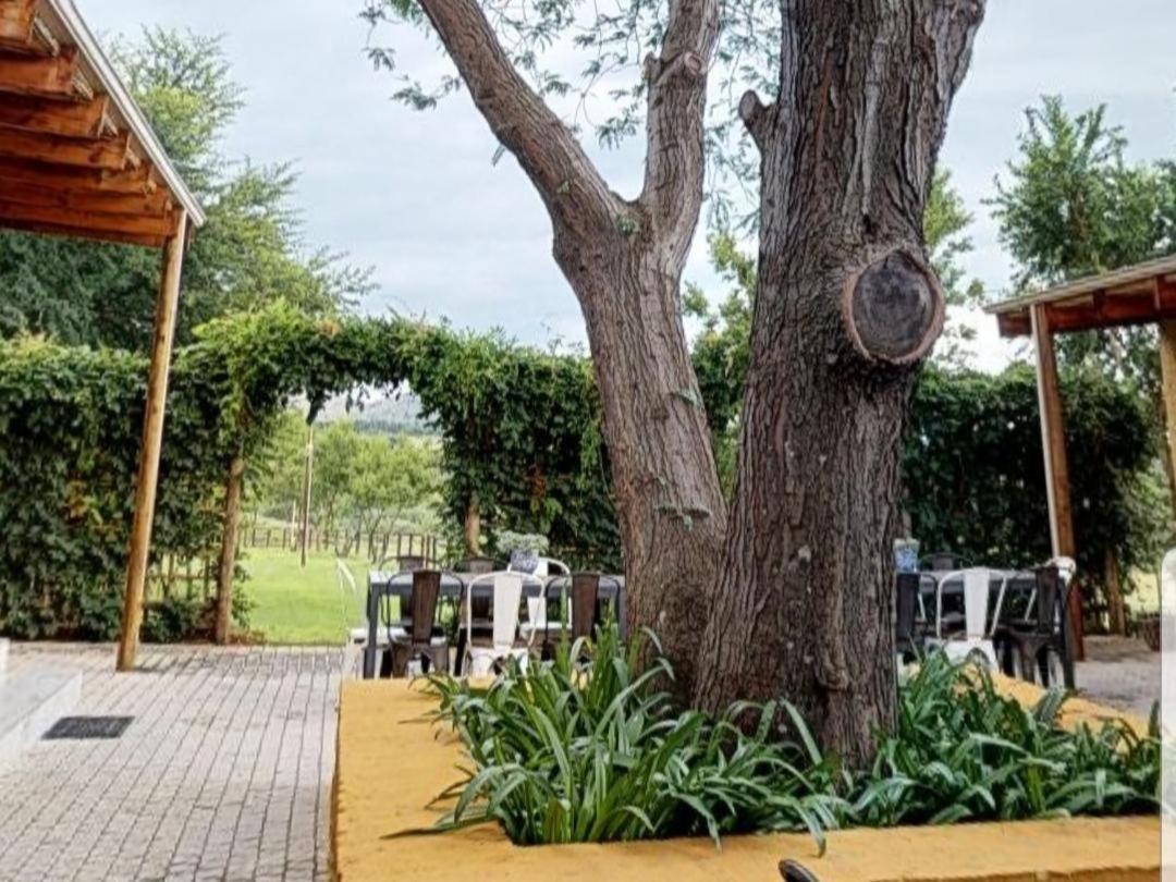 Cradle Valley Boutique Guesthouse มัลเดอร์สดริฟต์ ภายนอก รูปภาพ