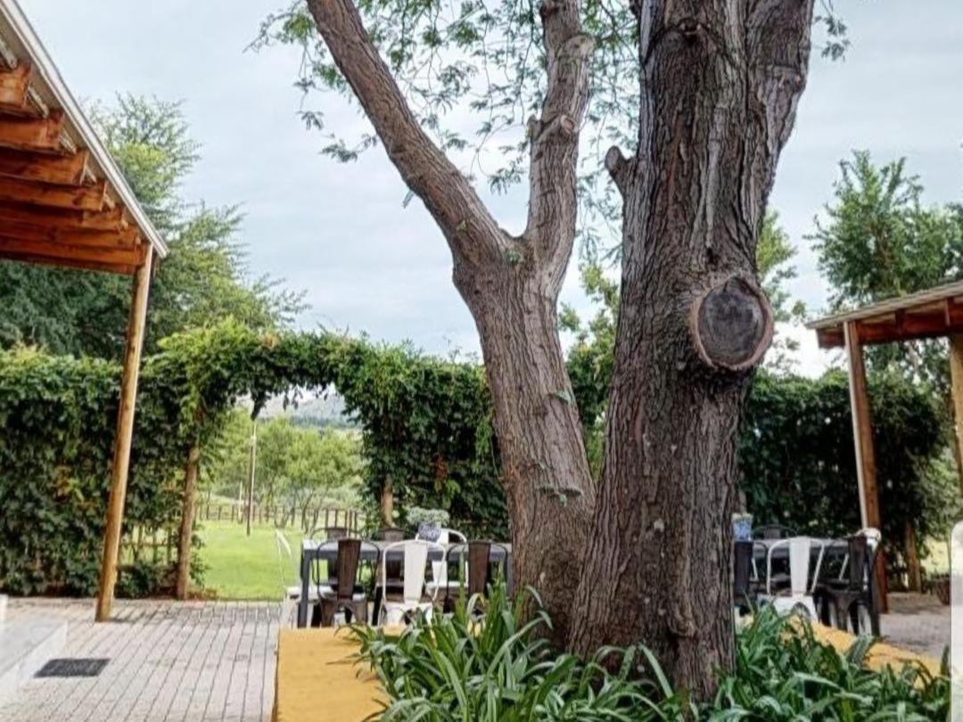 Cradle Valley Boutique Guesthouse มัลเดอร์สดริฟต์ ภายนอก รูปภาพ